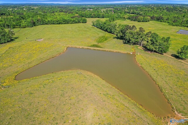 1657 Hamm Rd, Blountsville, AL 35031