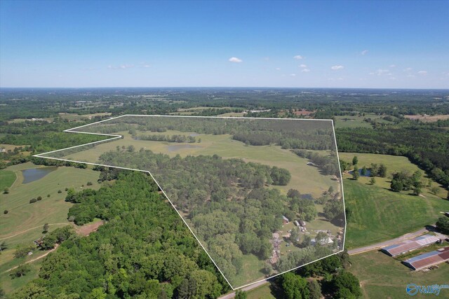 1657 Hamm Rd, Blountsville, AL 35031