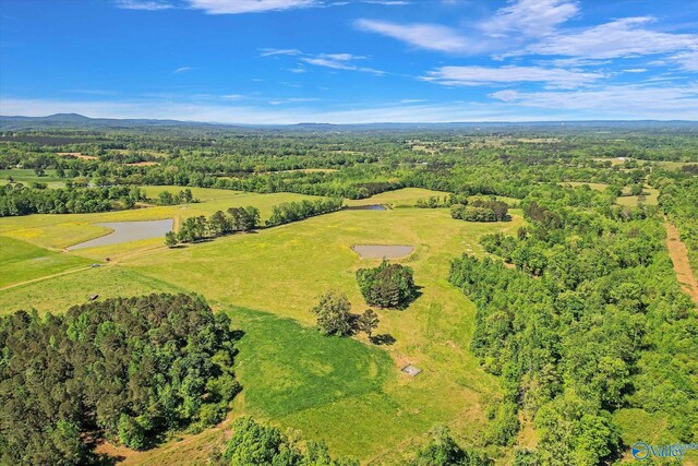 1657 Hamm Rd, Blountsville, AL 35031
