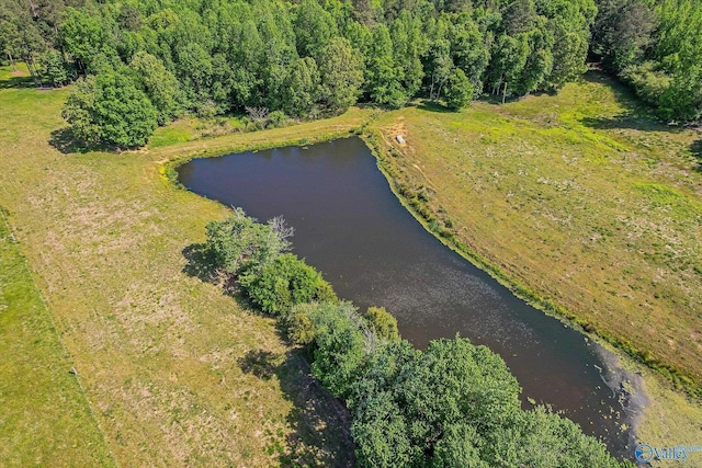 1657 Hamm Rd, Blountsville, AL 35031