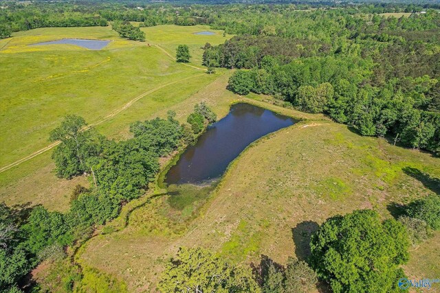 1657 Hamm Rd, Blountsville, AL 35031