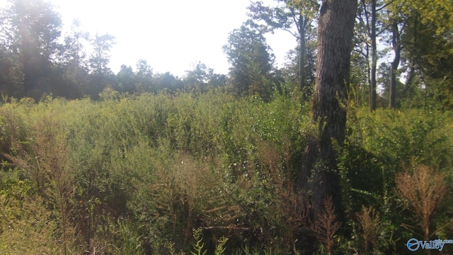 5331 County Road 9, Geraldine, AL 35974