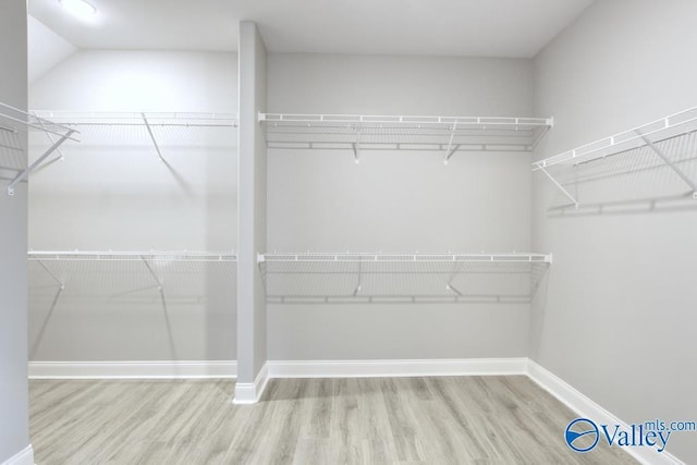 HUNTINGTONB Newby Chapel Rd, Athens, AL 35613 - walk in closet with wood finished floors
