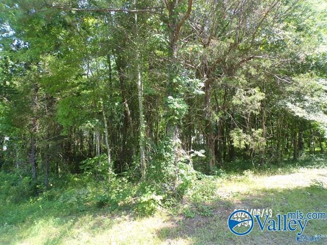 44AC Hackberry Cir, Hokes Bluff, AL 35903