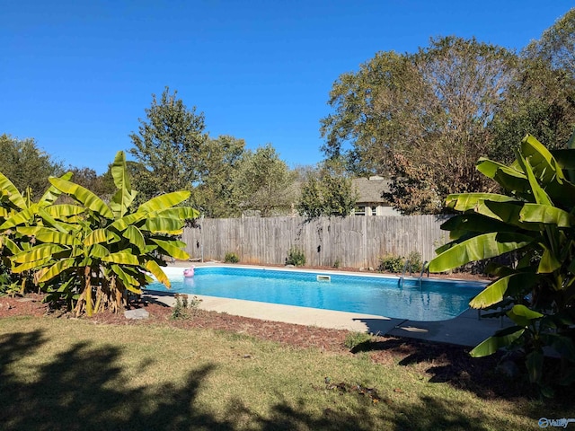 view of swimming pool featuring a lawn