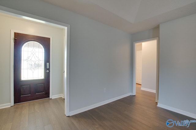 foyer entrance with hardwood / wood-style flooring