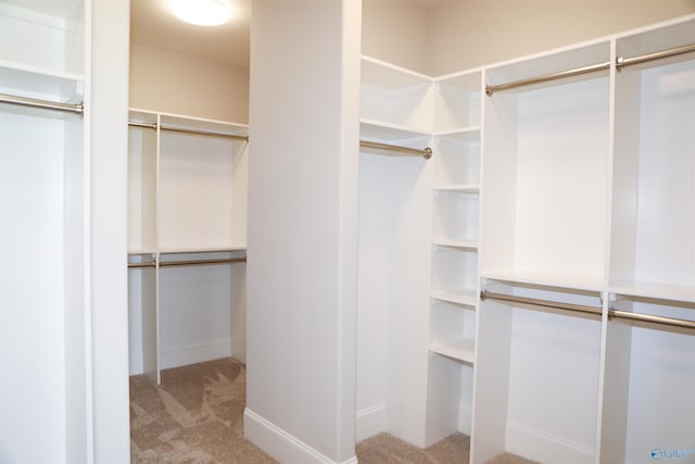 spacious closet with carpet