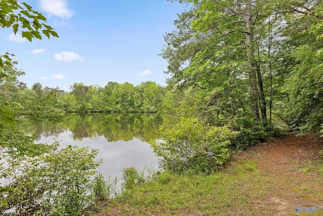 LOT1 Moon Lake Rd, Mentone, AL 35984 - water view featuring a forest