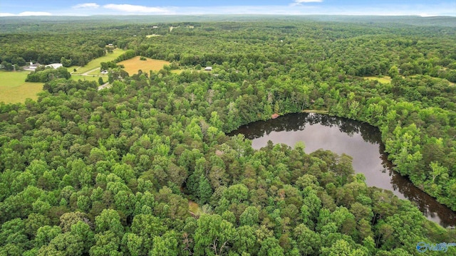 LOT1 Moon Lake Rd, Mentone, AL 35984 - view of property location featuring a forest and a nearby body of water