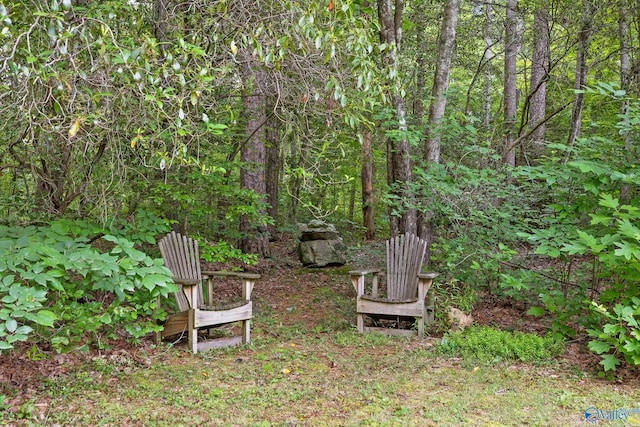 LOT1 Moon Lake Rd, Mentone, AL 35984 - view of yard