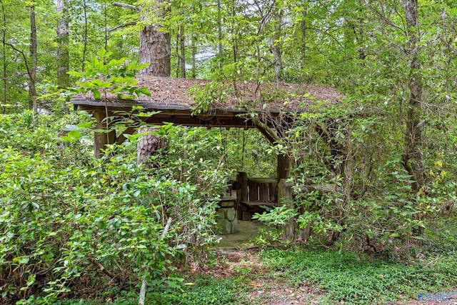 LOT1 Moon Lake Rd, Mentone, AL 35984 - view of yard with a wooded view