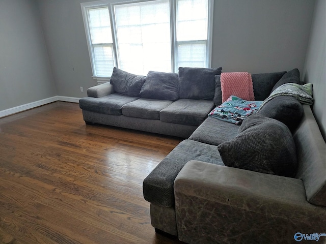 living room featuring dark wood-type flooring