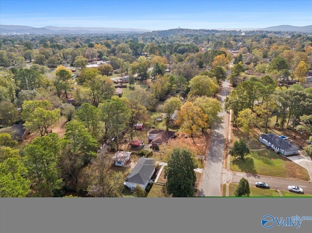 birds eye view of property featuring a mountain view