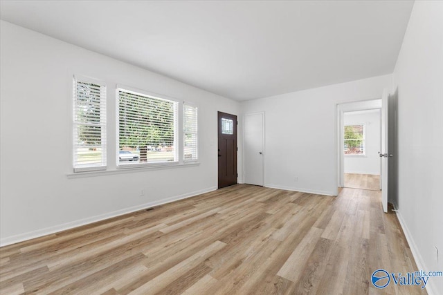 foyer with a healthy amount of sunlight and light hardwood / wood-style floors