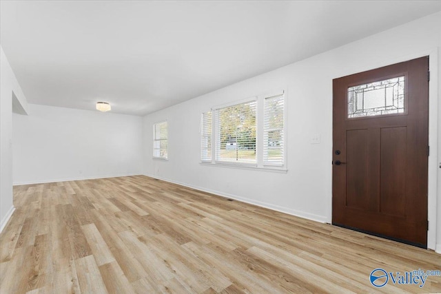 foyer with light hardwood / wood-style floors