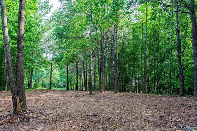 LOT162 Sergeant Holden Ln, Athens, AL 35614