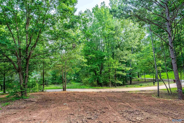 LOT162 Sergeant Holden Ln, Athens, AL 35614