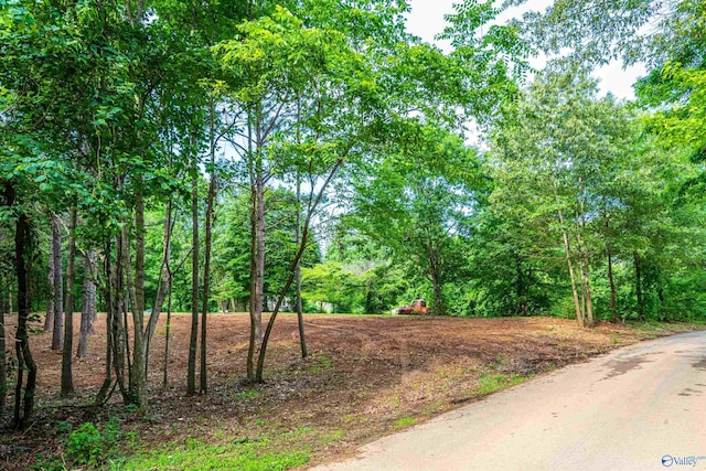 LOT162 Sergeant Holden Ln, Athens, AL 35614