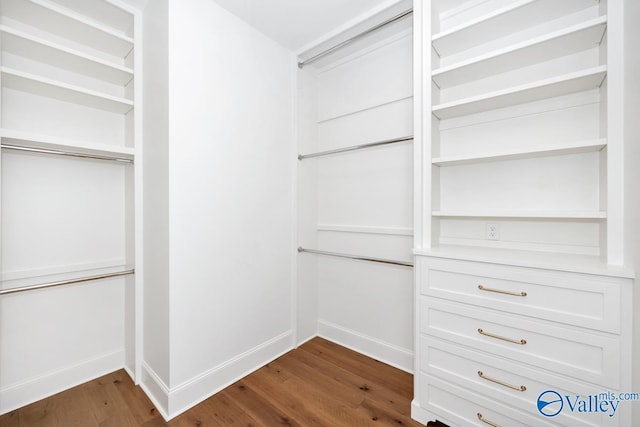 spacious closet with dark wood-style flooring