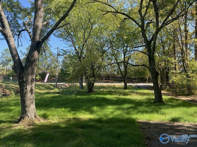 1520 Balch Rd, Madison, AL 35757 - view of grassy yard