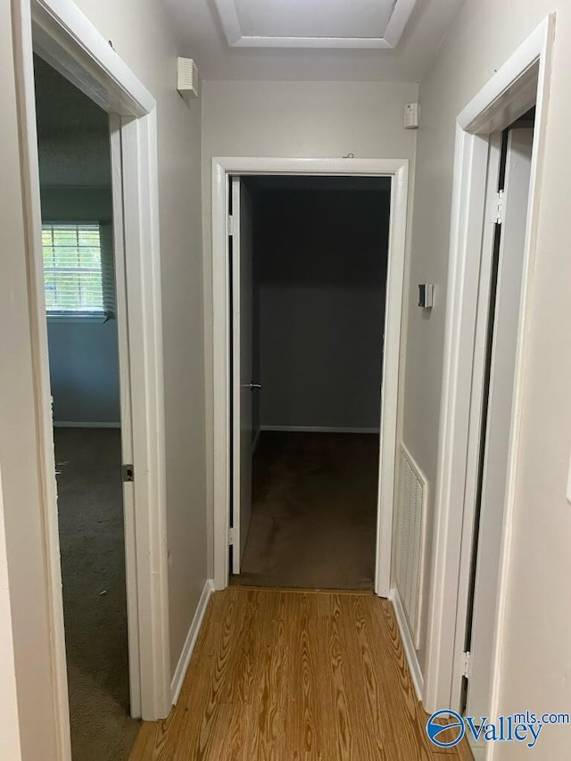 1520 Balch Rd, Madison, AL 35757 - hall featuring wood finished floors and baseboards