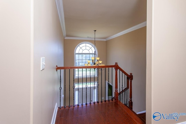 interior space featuring crown molding, an inviting chandelier, and wood-type flooring