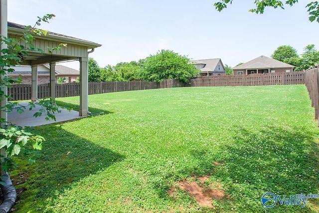 view of yard featuring a patio area