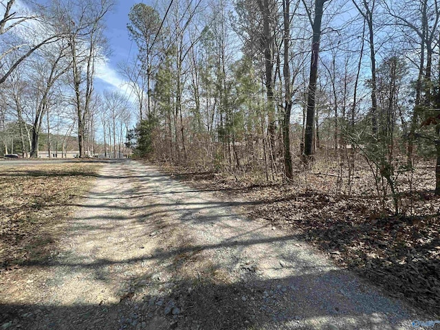 VacantParcel County Road 1856, Arab AL, 35016 land for sale