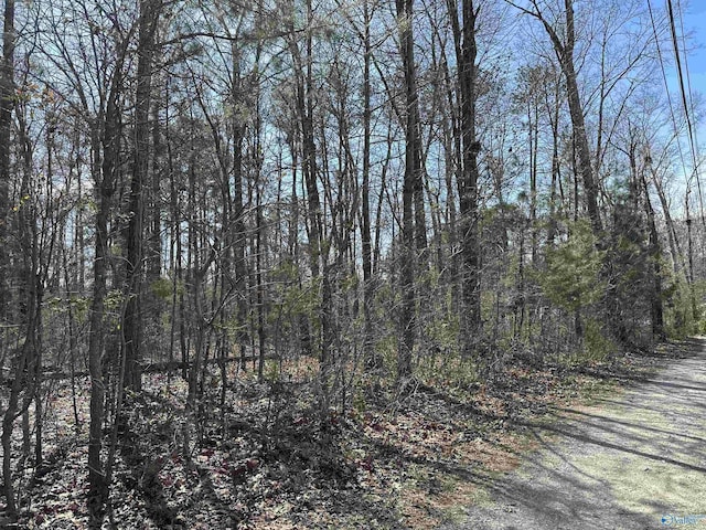 Listing photo 2 for VacantParcel County Road 1856, Arab AL 35016