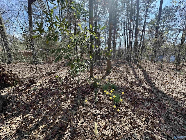 Listing photo 3 for VacantParcel County Road 1856, Arab AL 35016