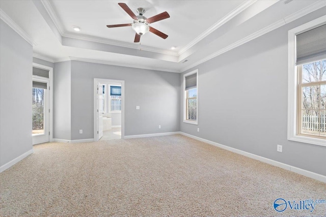 spare room featuring a raised ceiling, ornamental molding, light colored carpet, and ceiling fan