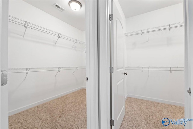 spacious closet with light carpet