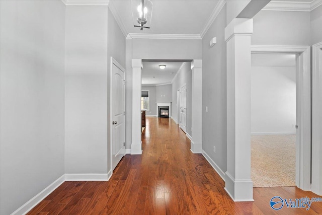 hall featuring crown molding and dark hardwood / wood-style flooring