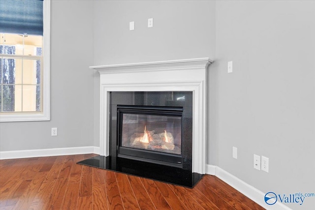 interior details with hardwood / wood-style flooring