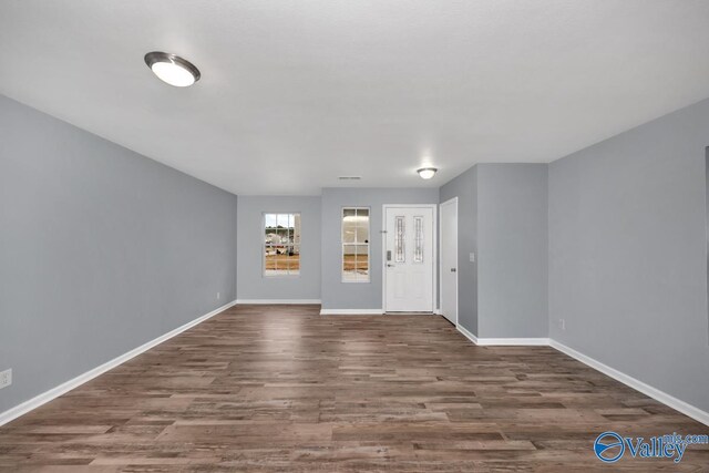 entryway with dark wood-type flooring