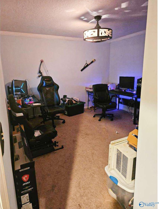 office space featuring carpet flooring, a textured ceiling, and ornamental molding