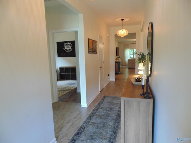 110 Oak Path Ln, Harvest, AL 35749 - corridor featuring wood finished floors and baseboards