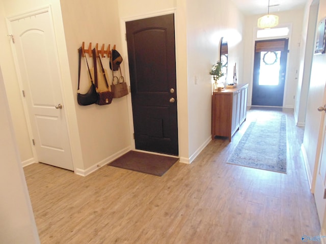 110 Oak Path Ln, Harvest, AL 35749 - entrance foyer featuring light wood-type flooring and baseboards