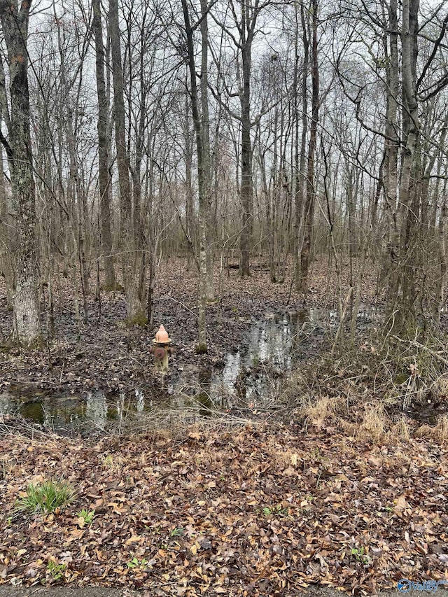 LOT17 Jessica Dr, Toney AL, 35773 land for sale