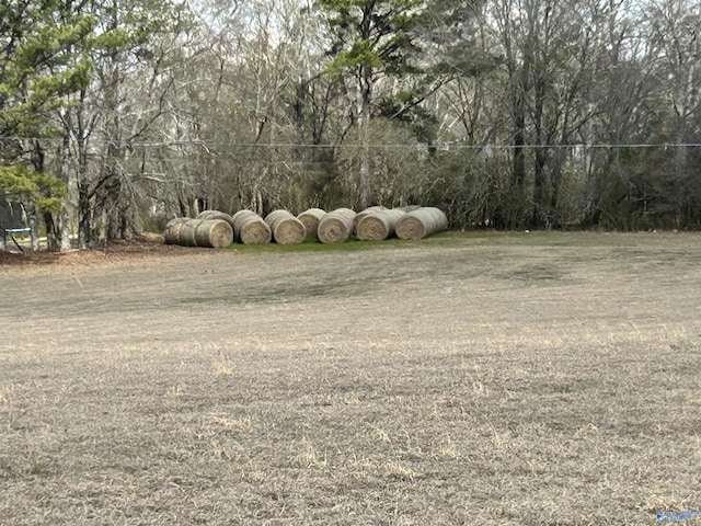 view of yard with a trampoline