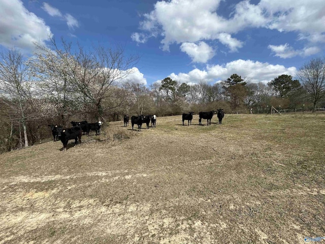 view of yard featuring a rural view