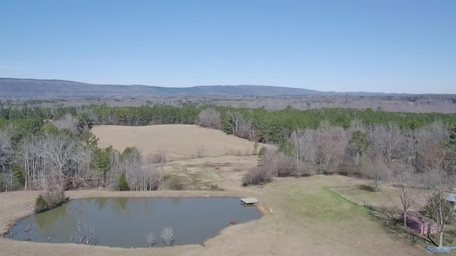 drone / aerial view with a water and mountain view