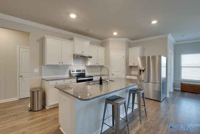 kitchen with light wood finished floors, light stone countertops, stainless steel appliances, under cabinet range hood, and a sink