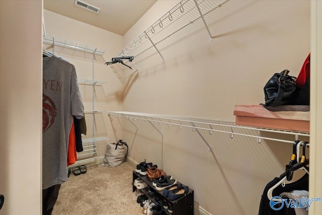 walk in closet featuring carpet flooring
