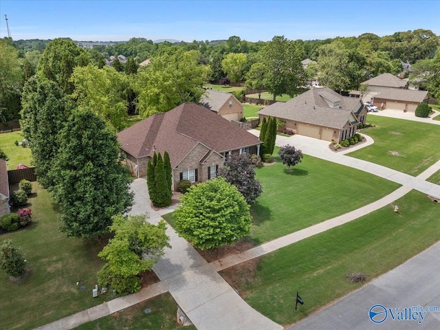 drone / aerial view