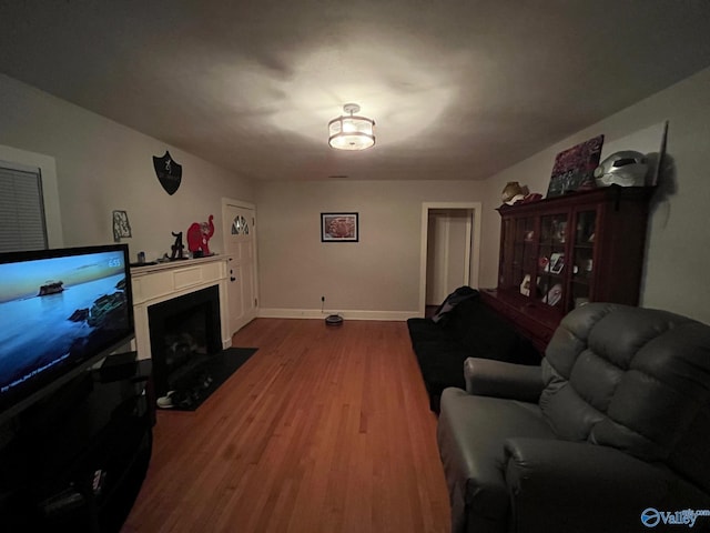 living room with wood-type flooring