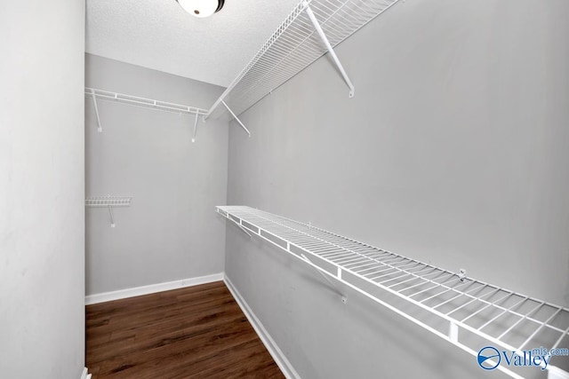 walk in closet featuring dark hardwood / wood-style floors