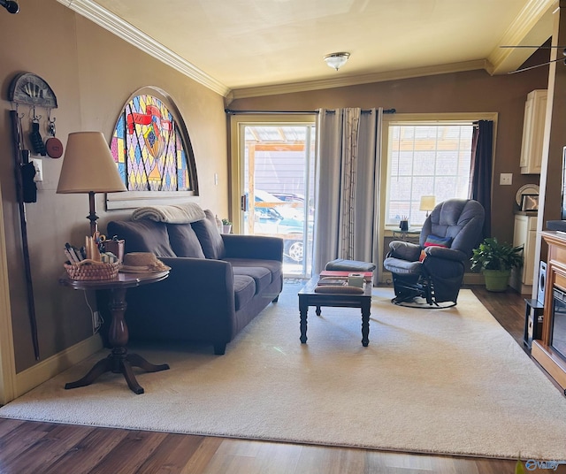 living area with crown molding, a fireplace, and dark wood finished floors