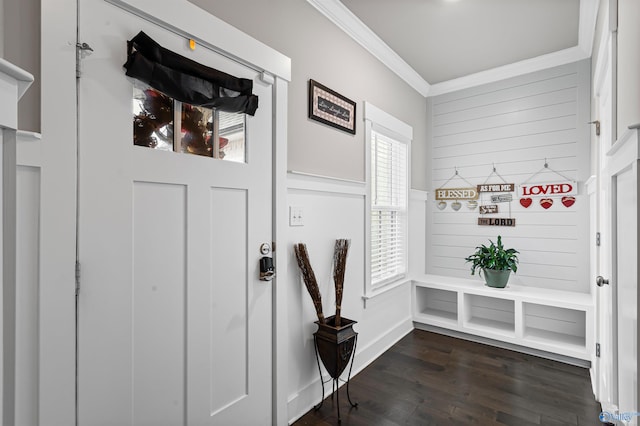 mudroom with crown molding, dark wood-type flooring, and wood walls