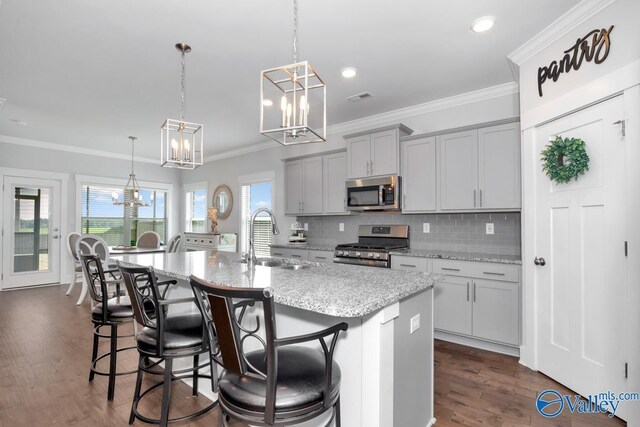 kitchen featuring a wealth of natural light, appliances with stainless steel finishes, sink, and dark hardwood / wood-style flooring